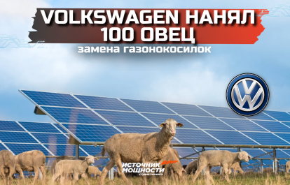 Volkswagen нанял 100 овец вместо газонокосилок